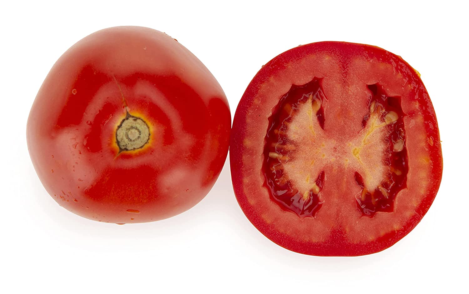 Fresh Tomato Hybrid